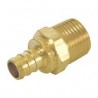 PEX Adapter, 1/2" PEX x 3/4" MIP fittings